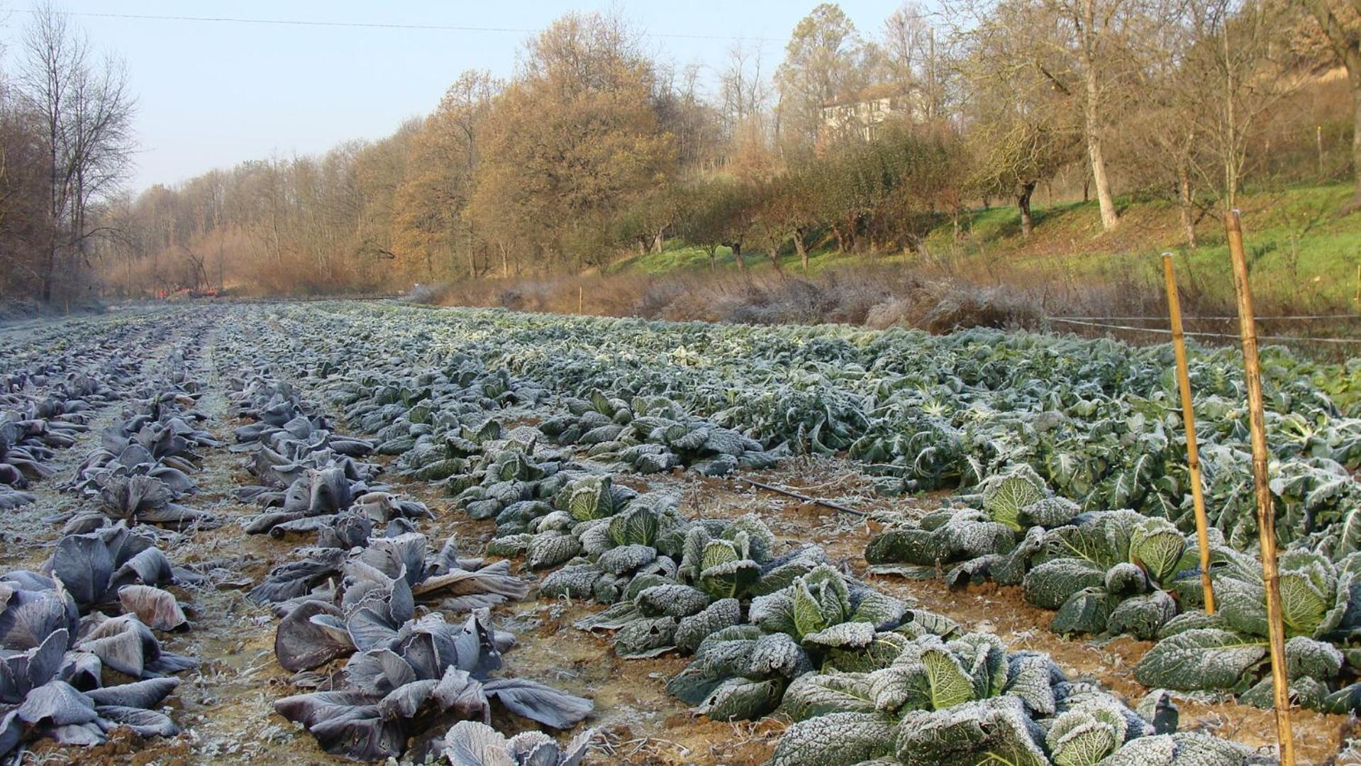 Agriturismo Cascina Degli Ulivi Novi Ligure Bagian luar foto